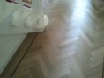 /album/fotogalerij-foto-s/a2012-09-12-12-27-01-jpg/